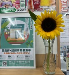 お久しぶりです！