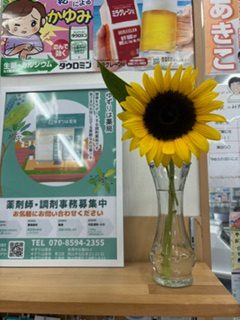 お久しぶりです!