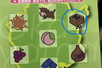 お薬手帳を眺めて