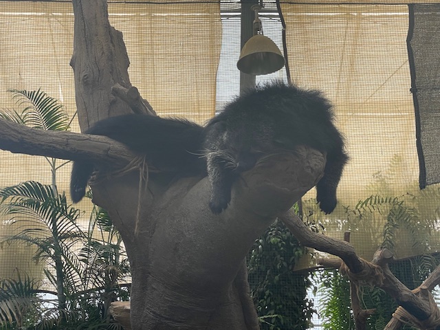 和歌山で体験型ミステリー