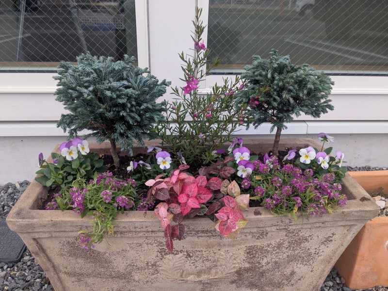 【青江店】花壇の植え替えをしました