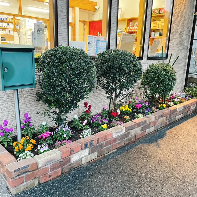 【新見店】花壇の植え替えをしました